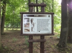 Naprawa i konserwacja ścieżki edukacyjno - przyrodniczej w Parku Pałacowymv